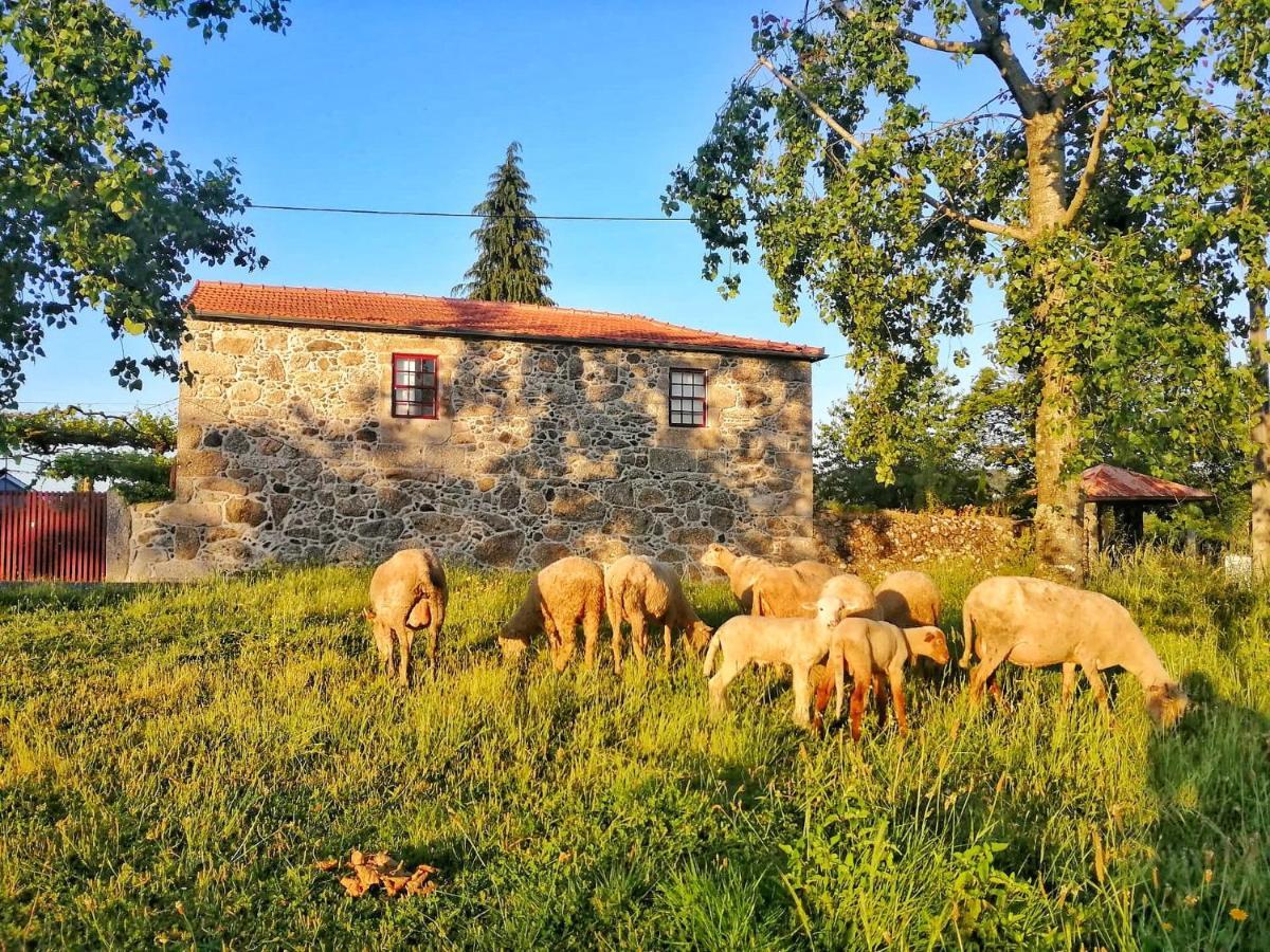 Penzion Casa Do Cruzeiro Paredes de Coura Exteriér fotografie